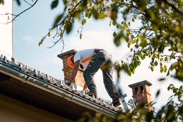 Best Roof Gutter Cleaning  in Myersville, MD
